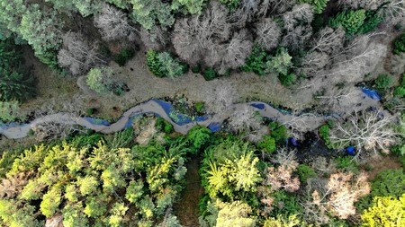 Bory Tucholskie fot. R.Modrzewski