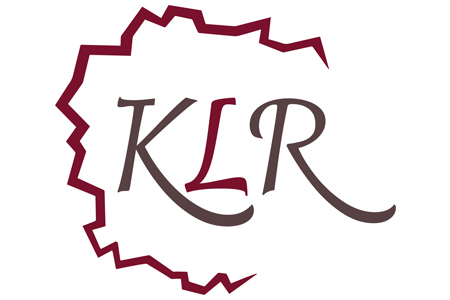 Kuźnia Liderów Regionu, graf. Fundacja Królewskie Dziedzińce