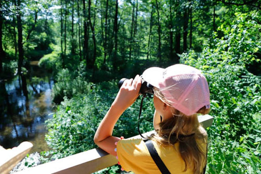 Parki krajobrazowe naszego regionu to świetne miejsca na wakacyjne wycieczki. Fot. Mikołaj Kuras dla UMWKP