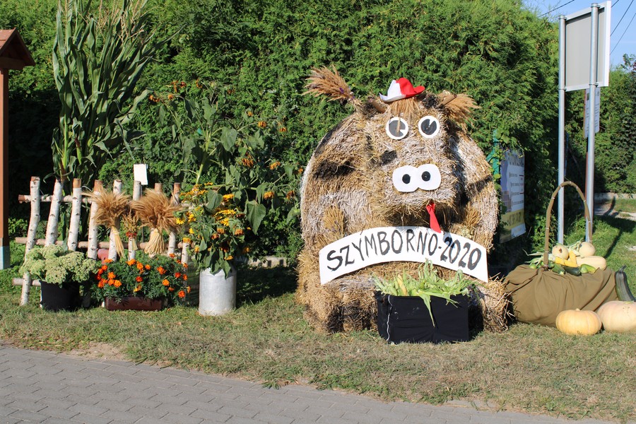 sołectwo Szymborno, gmina Kijewo Królewskie 2020 r., fot. Magdalena Pudło