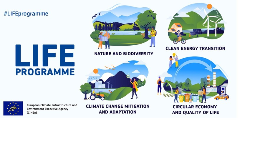 Infografika LifeProgramme