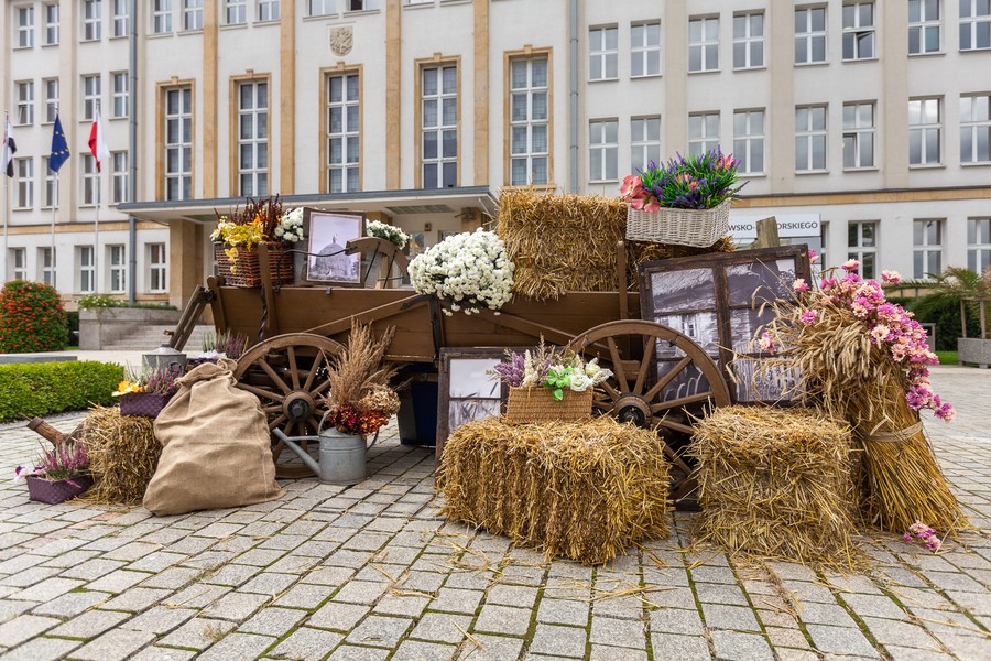 Toruń przygotowuje się do święta plonów, fot. Szymon Zdziebło/tarantoga.pl dla UMWKP