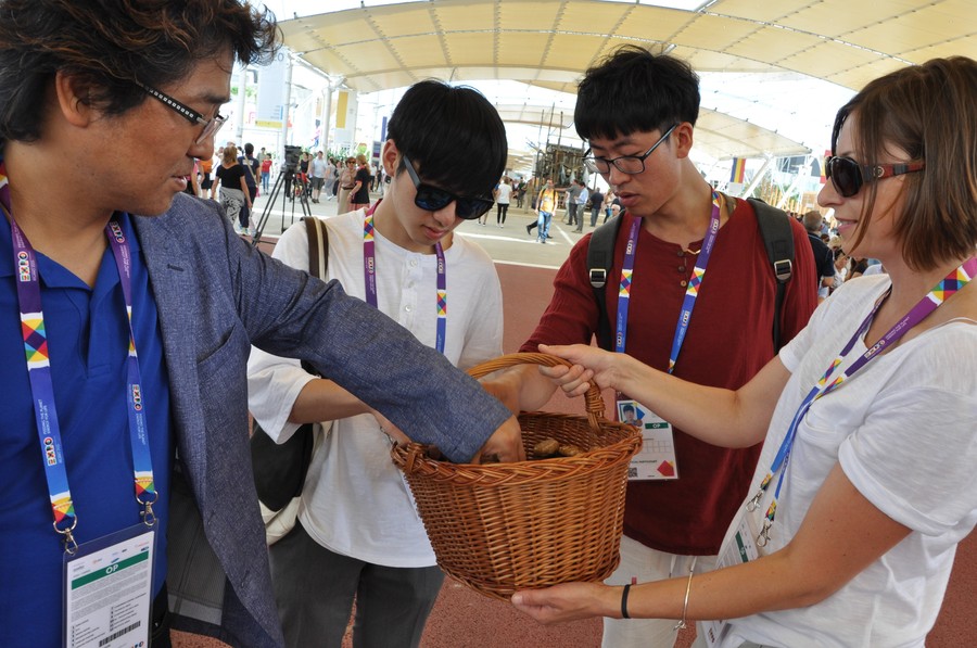 EXPO 2015 w Mediolanie, fot. Archiwum UMWKP