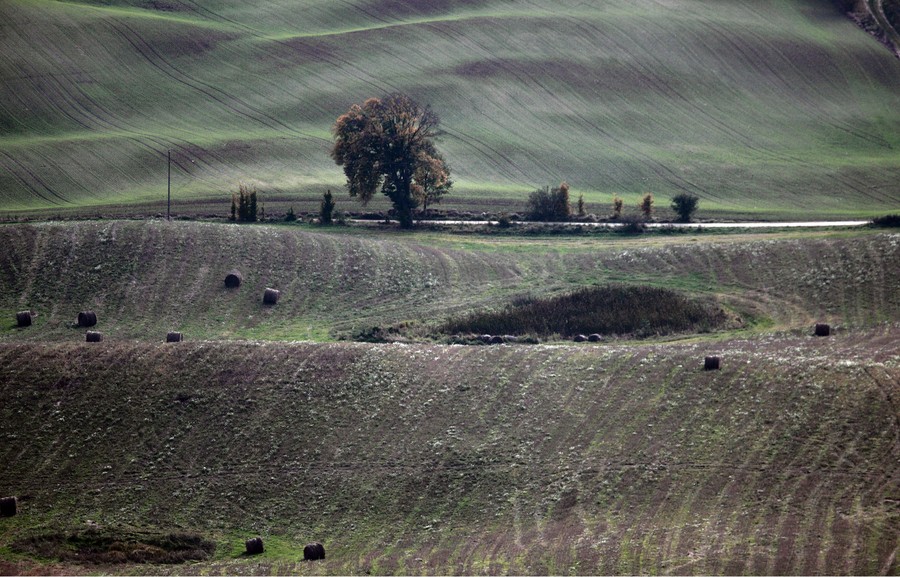 Górzysty krajobraz Krajeńskiego Parku Krajobrazowego, fot. Daniel Pach dla UMWKP