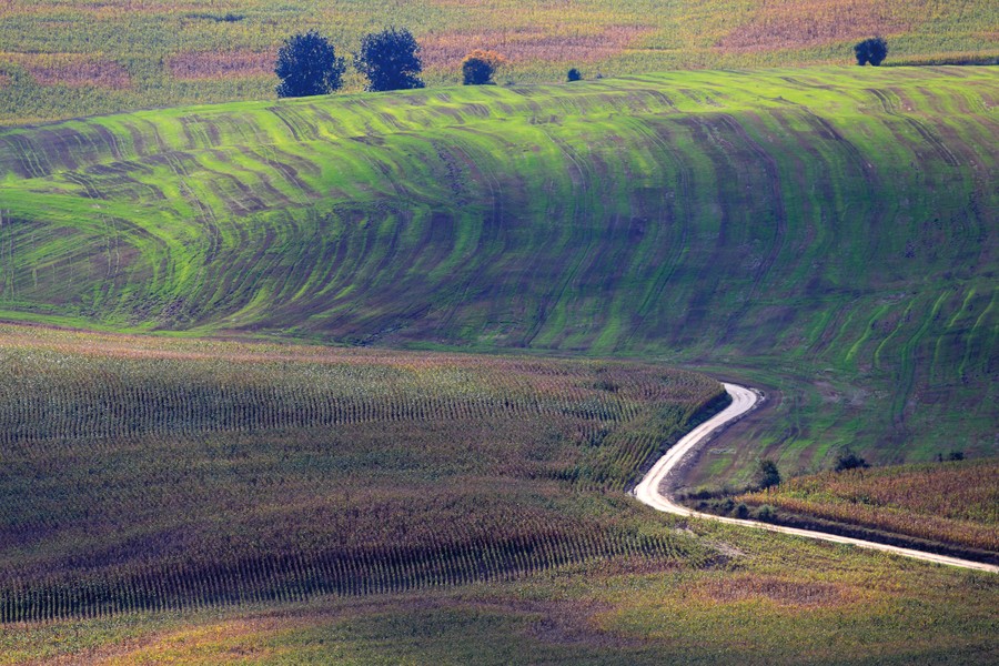 Fot. Daniel Pach dla UMWKP