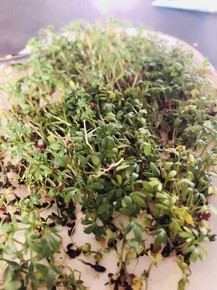 fot. Karolina Liegman-Boniecka