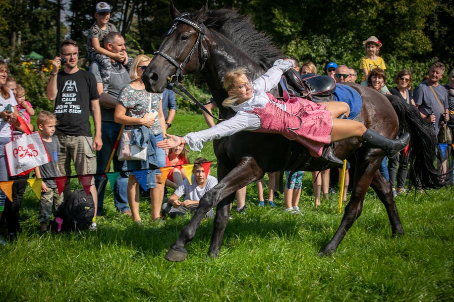 Muzeum Archeologiczne w Biskupinie, fot. Andrzej Goiński dla UMWKP
