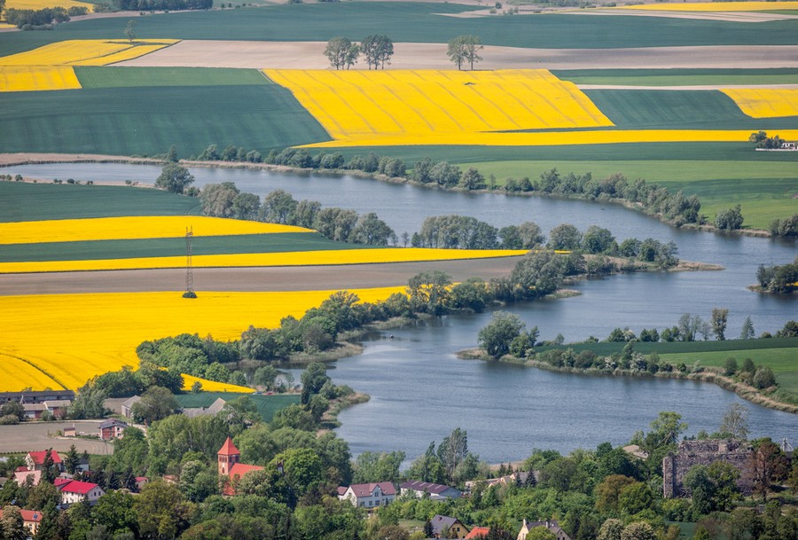 Fot. Daniel Pach dla UMWKP