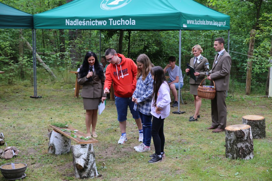 dopasuj drzewa do ich partnerów mykoryzowych fot. Rafał Borzyszkowski