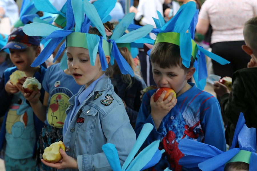 SMACZNE JABŁUSZKA DZIĘKI DZIKIM ZAPYLACZOM FOT. ARCHIWUM TPK