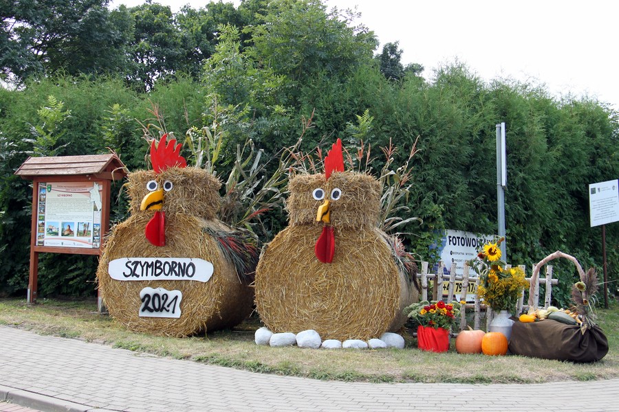 Witacz, sołectwo Szymborno, gmina Kijewo Królewskie 2021 r., fot. Magdalena Pudło