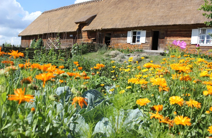 Olenderski Park Etnograficzny fot. Adam Zakrzewski