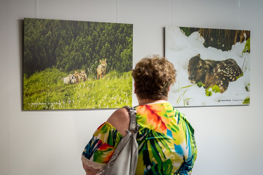 Wernisaż wystawy fotografii „Skarby przyrody krajów wyszehradzkich”, fot. Szymon Zdziebło/tarantoga.pl dla UMWKP