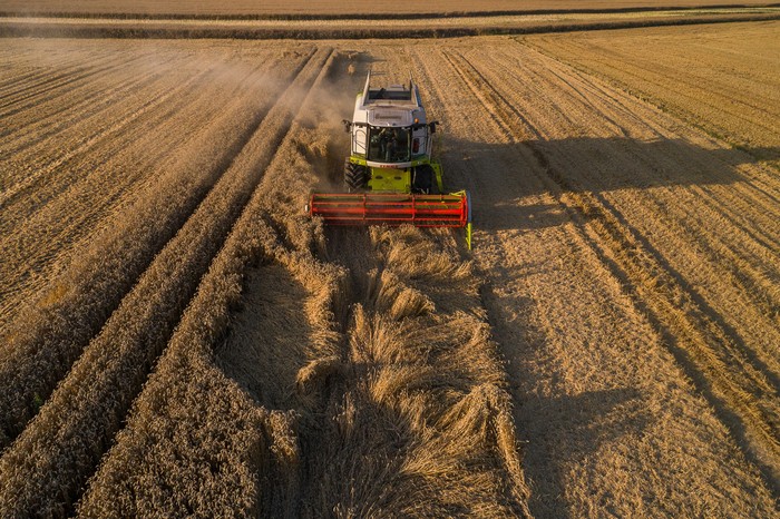 Żniwa w gospodarstwie Magdaleny i Leszka Jałoszyńskich, fot. Szymon Zdziebło/tarantoga.pl dla UMWKP