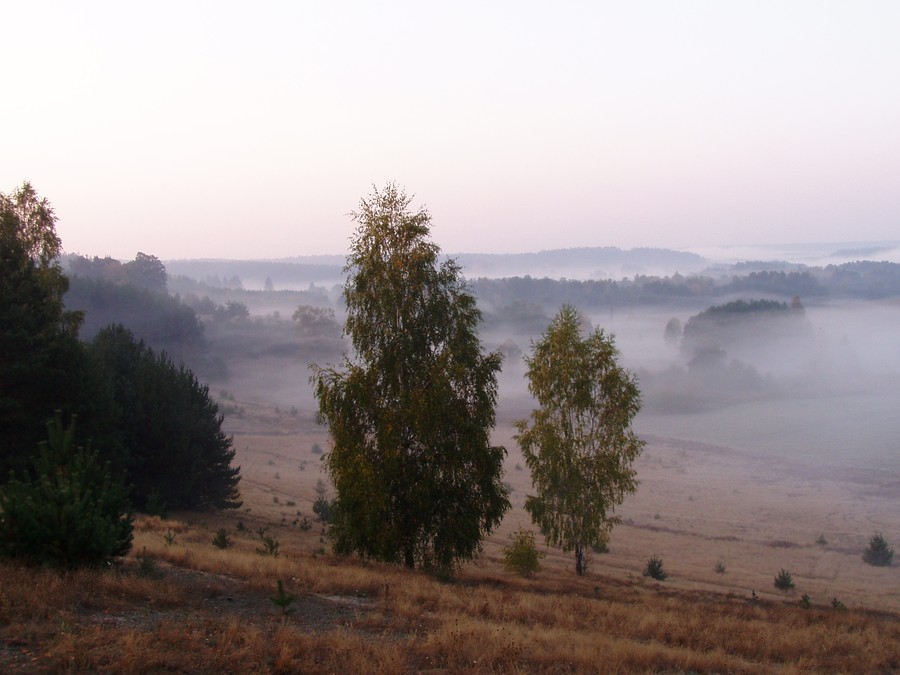 Dolina rzeki Brynicy, fot. Archiwum GLPK