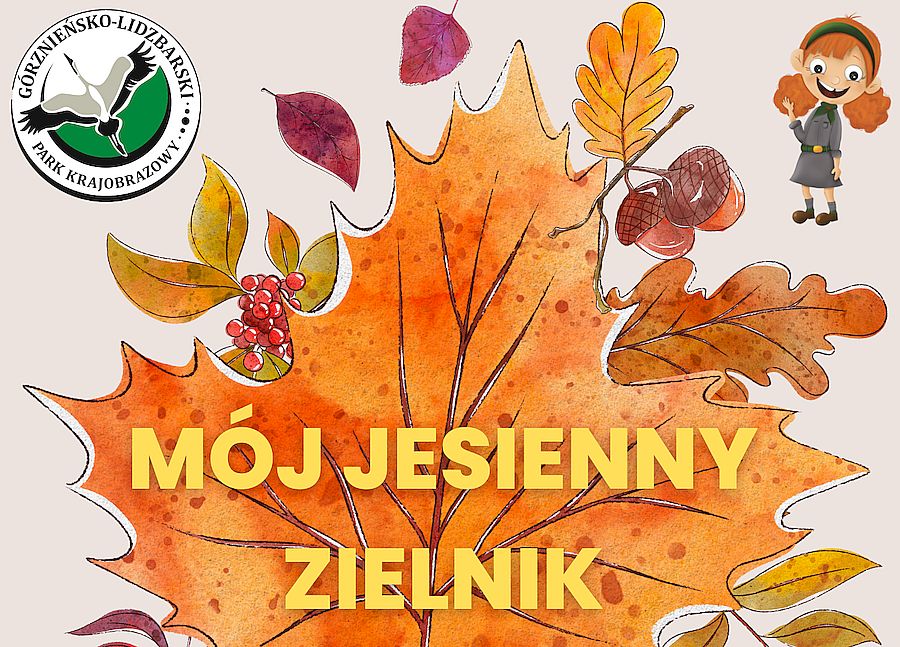 Mój jesienny zielnik