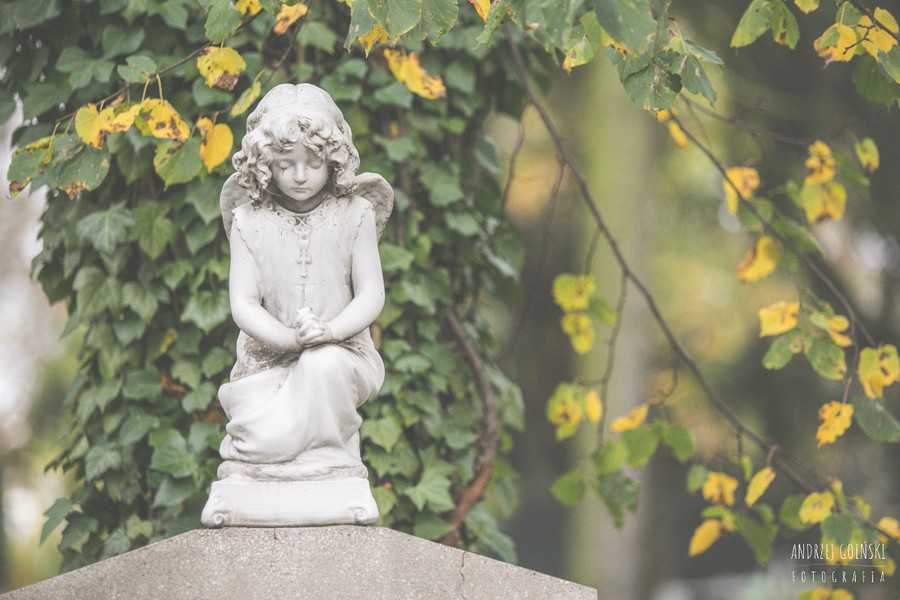 Fot. Andrzej Goiński/UMWKP