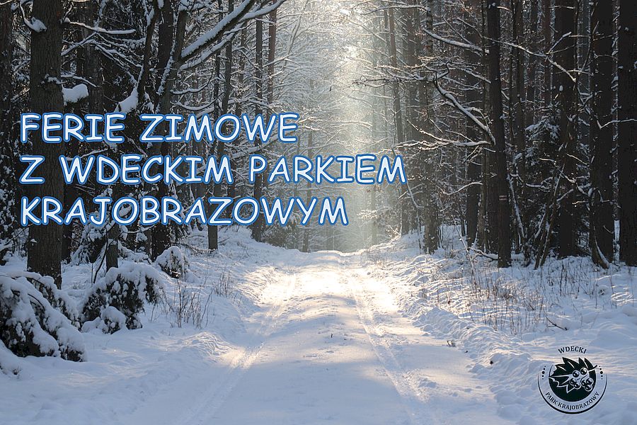 Ferie zimowe z Wdeckim Parkiem Krajobrazowym