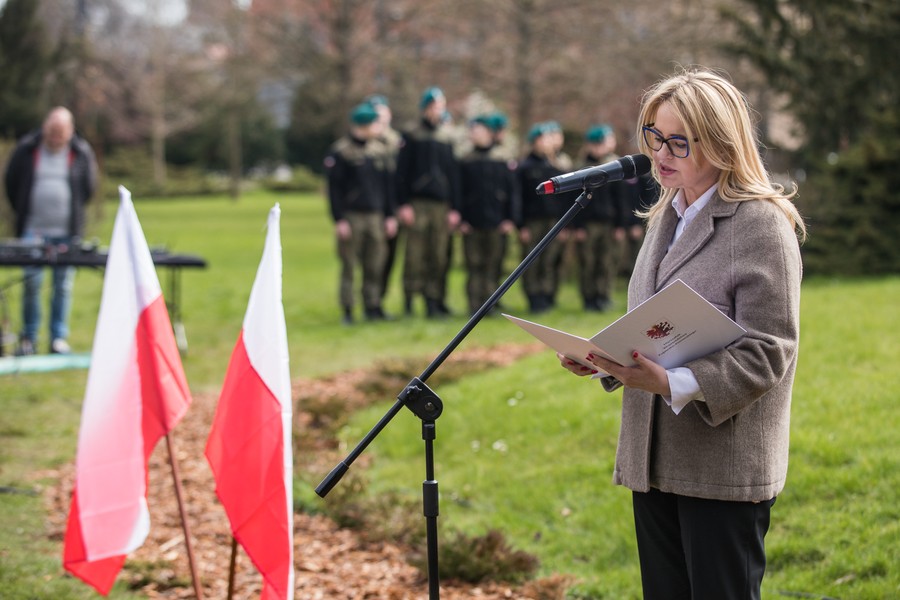 Dęby Pamięci Ofiar Zbrodni Katyńskiej w Toruniu, fot. Andrzej Goiński
