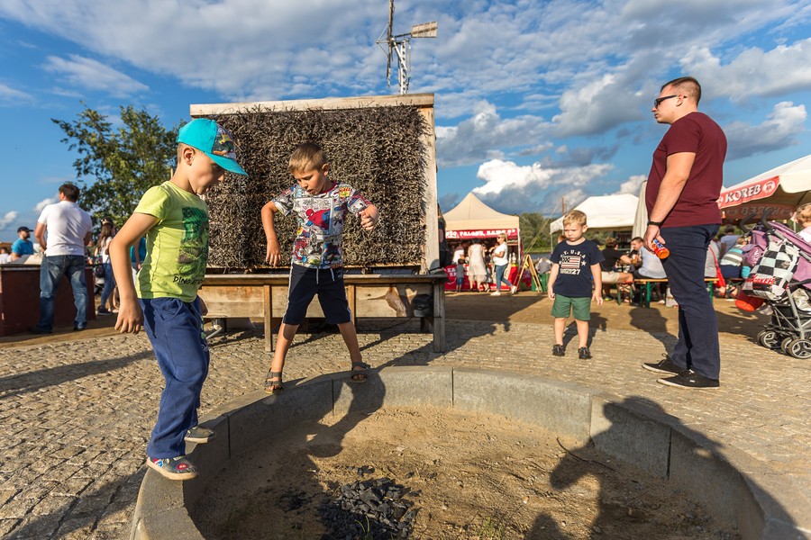 Fot. Szymon Zdziebło/tarantoga.pl dla UMWKP