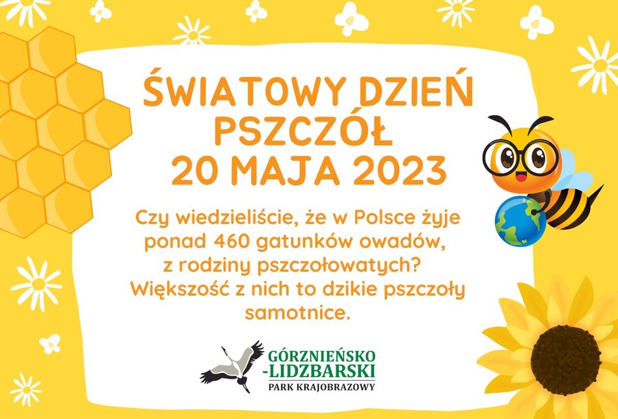 Światowy Dzień Pszczół (autor GLPK)