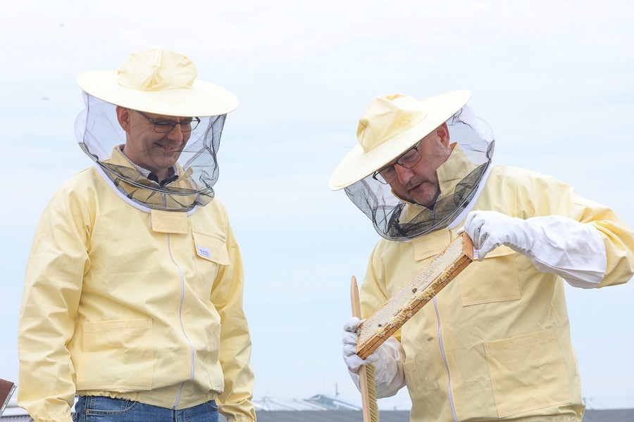 Pierwsza w tym roku zbiórka miodu z pasieki na dachu Urzędu Marszałkowskiego. Fot. Mikołaj Kuras dla UMWKP