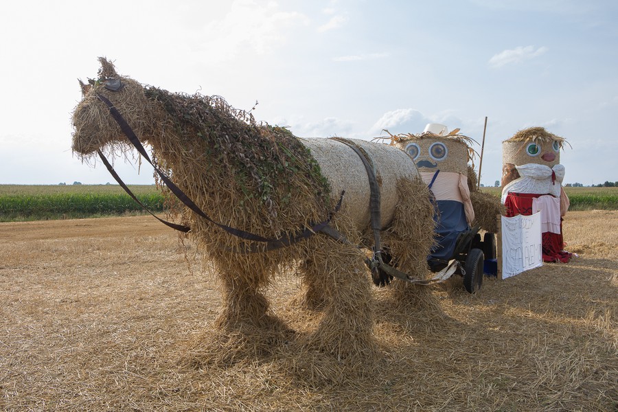 Fot. Mikołaj Kuras dla UMWKP