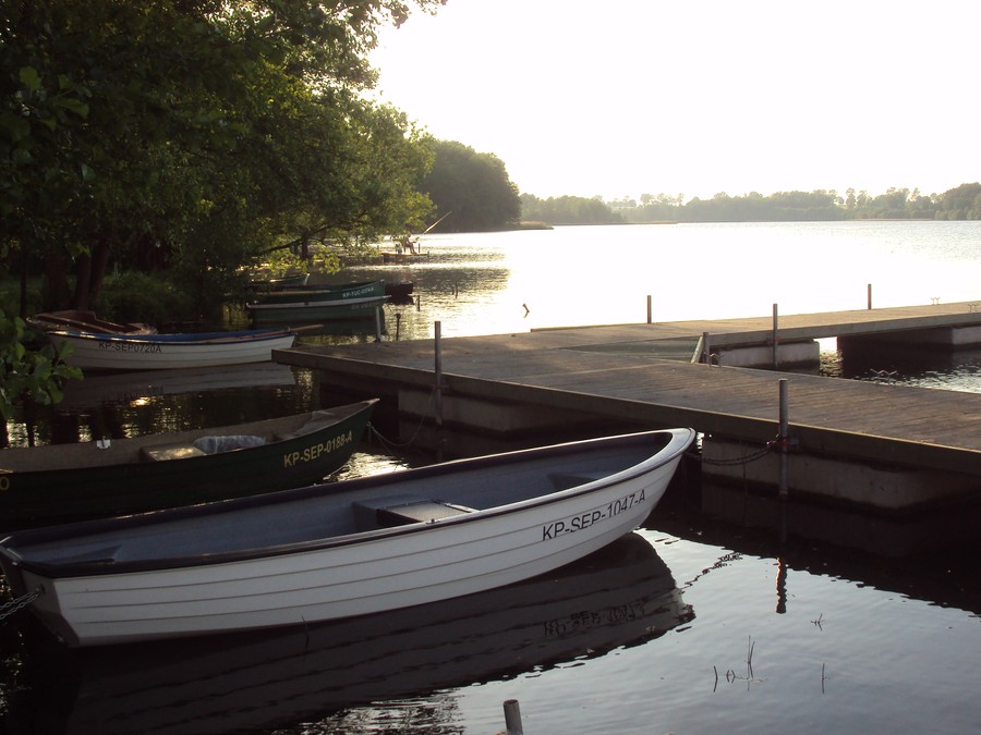 Moje miasto, moje miejsce na ziemi - Daria Cyra