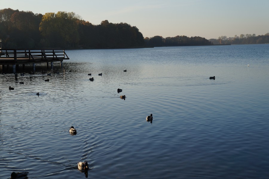 Moje miasto, moje miejsce na ziemi - Magdalena Borowicz