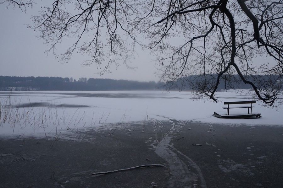 Moje miasto, moje miejsce na ziemi - Wikoria Kołata