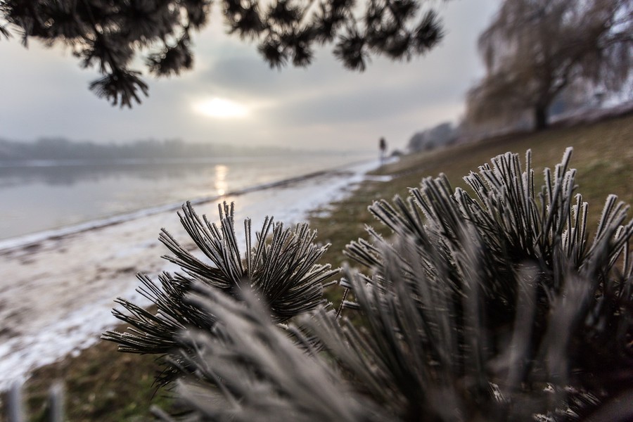 Zimowa natura, fot. Szymon Zdziebło/tarantoga.pl