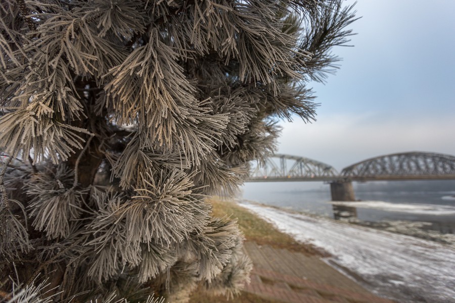 Zimowa natura, fot. Szymon Zdziebło/tarantoga.pl