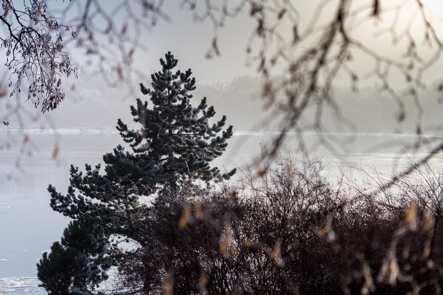 Zimowa natura, fot. Szymon Zdziebło/tarantoga.pl