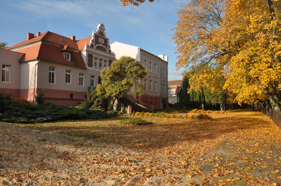 Fot. UG Ryńsk
