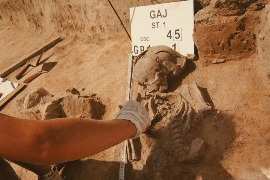 Zdjęcia prezentowane na wystawie „Park Kulturowy Wietrzychowice. 80 lat badań archeologicznych”, którą można oglądać w Urzędzie Marszałkowskim