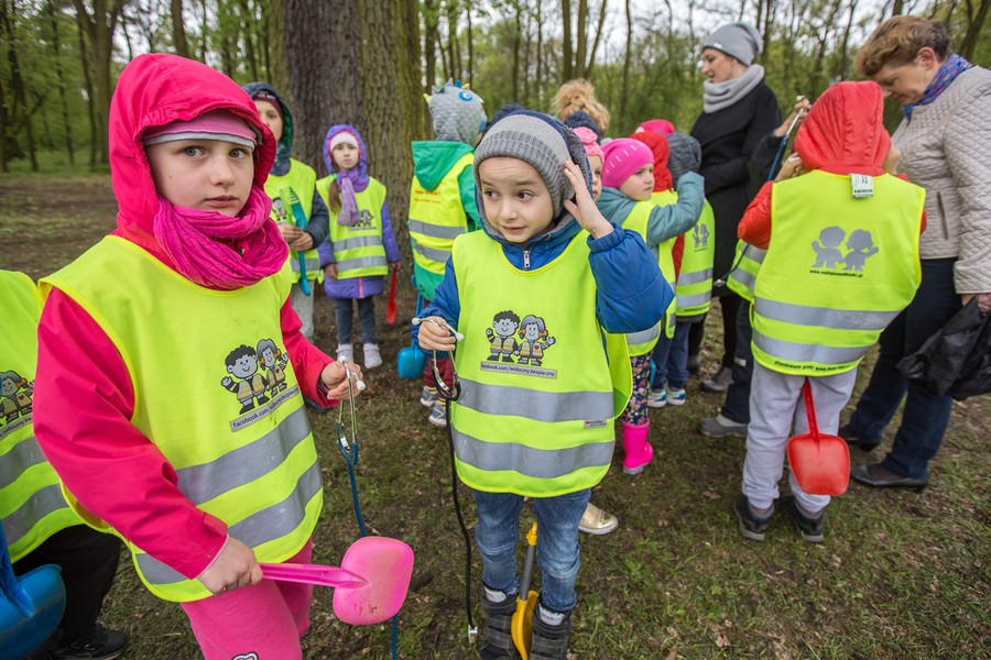 Sadzenie drzewek w Parku Tysiąclecia, fot. Szymon Zdziebło/tarantoga.pl dla UMWKP