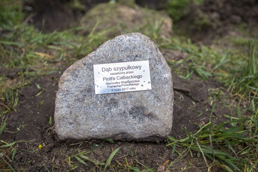 Sadzenie drzewek w Parku Tysiąclecia, fot. Szymon Zdziebło/tarantoga.pl dla UMWKP