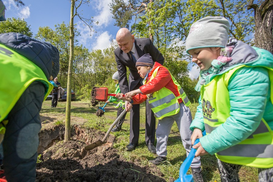 Sadzenie drzewek w Parku Tysiąclecia, fot. Szymon Zdziebło/tarantoga.pl dla UMWKP