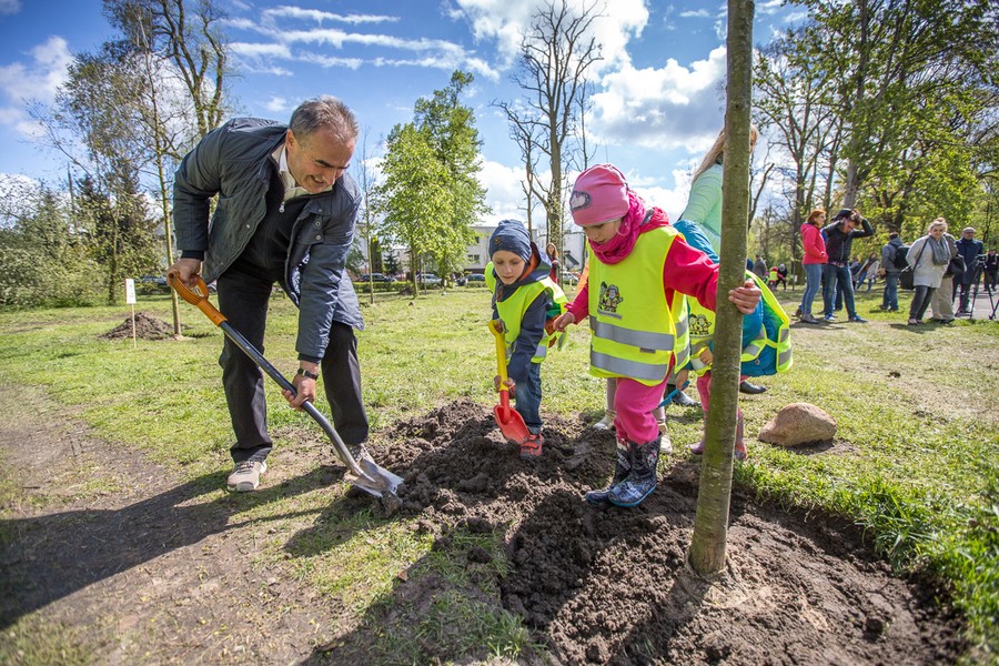 Sadzenie drzewek w Parku Tysiąclecia, fot. Szymon Zdziebło/tarantoga.pl dla UMWKP
