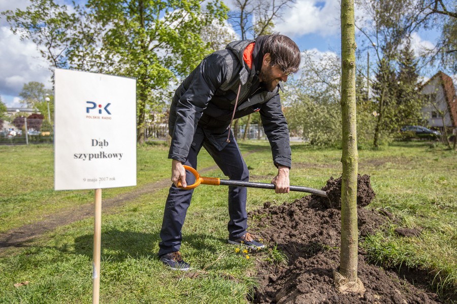 Sadzenie drzewek w Parku Tysiąclecia, fot. Szymon Zdziebło/tarantoga.pl dla UMWKP