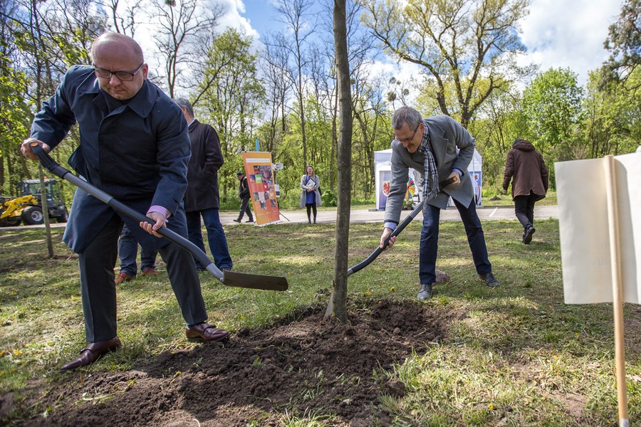 Sadzenie drzewek w Parku Tysiąclecia, fot. Szymon Zdziebło/tarantoga.pl dla UMWKP