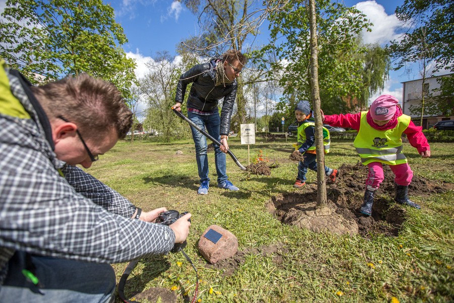 Sadzenie drzewek w Parku Tysiąclecia, fot. Szymon Zdziebło/tarantoga.pl dla UMWKP