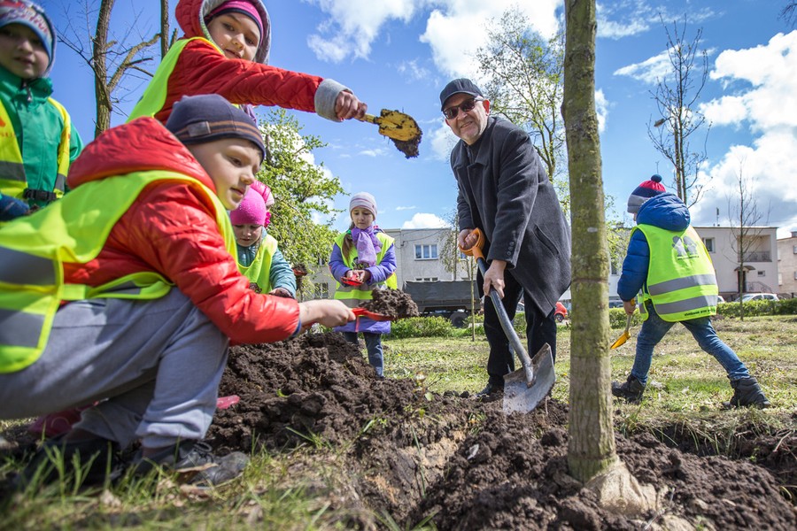 Sadzenie drzewek w Parku Tysiąclecia, fot. Szymon Zdziebło/tarantoga.pl dla UMWKP