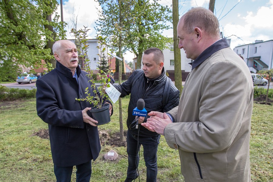 Sadzenie drzewek w Parku Tysiąclecia, fot. Szymon Zdziebło/tarantoga.pl dla UMWKP
