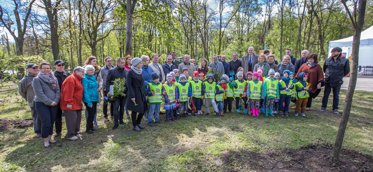 Sadzenie drzewek w Parku Tysiąclecia, fot. Szymon Zdziebło/tarantoga.pl dla UMWKP