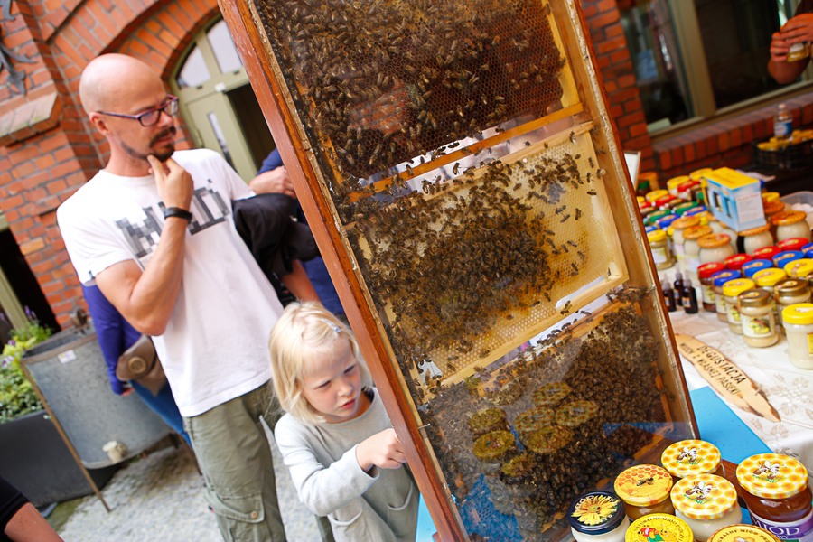 "W tym roku Święto Toruńskiego Piernika odbyło się na Błoniach Nadwiślańskich oraz w Muzeum Toruńskiego Piernika" - fot. Mikołaj Kuras