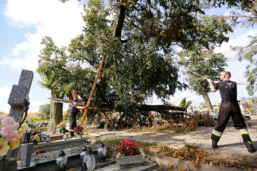 Wolontariusze oraz strażacy ochotnicy pomagali w usuwaniu skutków nawałnicy w gminie Sośno, fot. Mikołaj Kuras