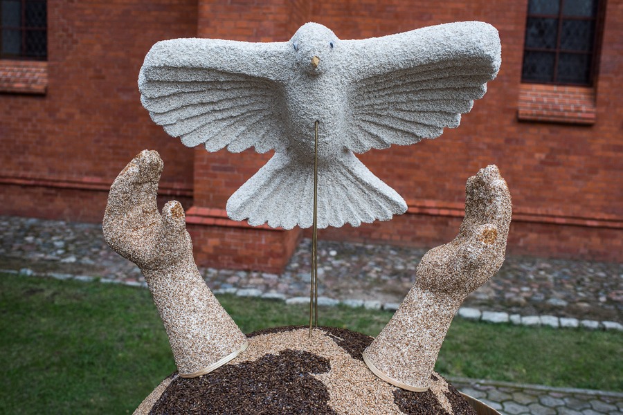 Dożynki wojewódzkie, Świecie 2017, fot. Tymon Markowski