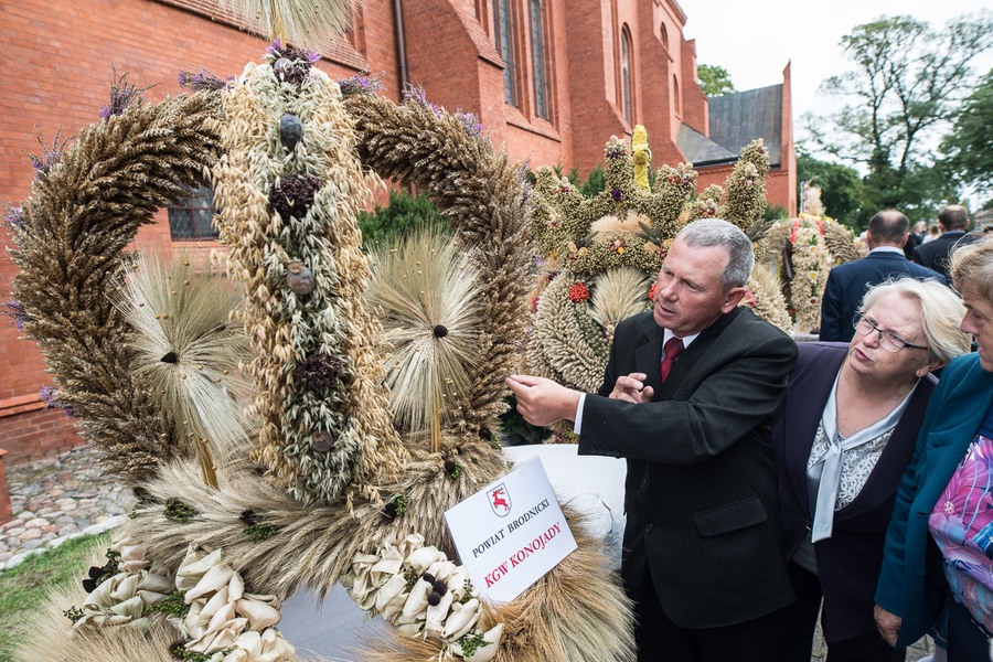 Dożynki wojewódzkie, Świecie 2017, fot. Tymon Markowski