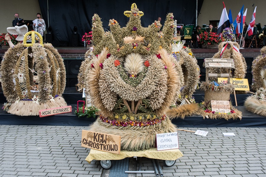 Dożynki wojewódzkie, Świecie 2017, fot. Tymon Markowski